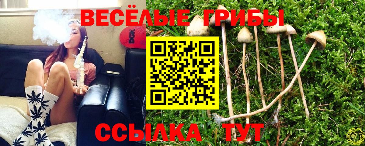 Галлюциногенные грибы прущие грибы  Вход с VPN  Североморск  Псилоцибиновые грибы прущие грибы 